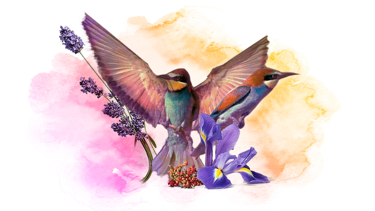 Impulsa tu futuro: descubre nuestros cursos y adquiere nuevas habilidades para crecer personal y profesionalmente.